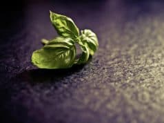 Wino włoskie i zioła kuchni włoskiej – duet, który tworzy niepowtarzalny smak kuchnia wloska