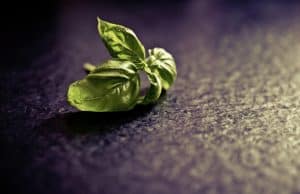 Wino włoskie i zioła kuchni włoskiej – duet, który tworzy niepowtarzalny smak kuchnia wloska