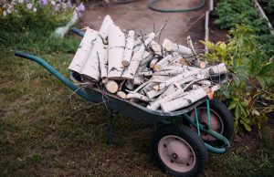 Jak wybrać idealne kalosze do pracy w ogrodzie? kalosze