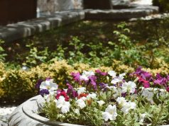 Jak dobrać donice ogrodowe i donice XXL, aby ogród, taras i strefa wejściowa zyskały elegancki, spójny charakter?